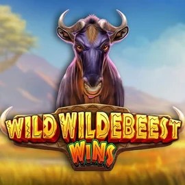 Play the Wild Wildebeest Wins slot by Pragmatic Play on SkyHills Casino